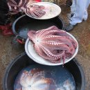 후포시장 이미지