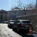 대성장 | 수원 성균관대 중식요리 찐맛집 옛날탕수육, 간짜장, 짬뽕 솔직후기 대성장