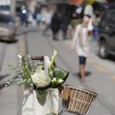리빙플라워 이미지
