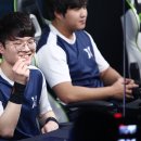 셀렉티드