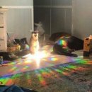 어울림소극장 | 인간은 콘서트없이 1년을 못버틴다고? 💗 To.10CM 콘서트 후기💗