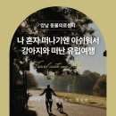 가이드동물의료센터 네이버블로그