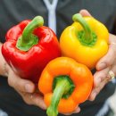 광택농장 이미지