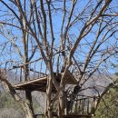 상관편백숲 쉼터 | [완주/상관면] 전주 근교 아내와 데이트, 힐링하기 좋은 곳 _ 상관편백나무숲