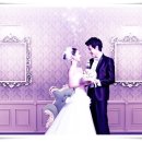 노블진 결혼정보회사 이미지