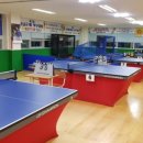 탁구 중급 이미지