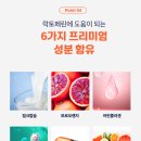 임팩트디자인 이미지
