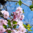 굿모닝 PC 이미지