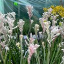 대림가든 이미지