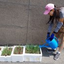 선우정경로당 이미지