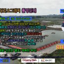 서해대교바다낚시터 이미지