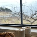 마고플레인평산 | 경산 대형카페 마고플레인 평산, 분위기 좋은 베이커리 카페