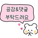 요거트아이스크림의정석이매점 이미지