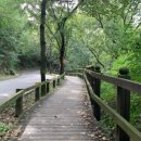 영인산자연휴양림 이미지