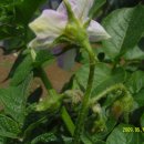 재구농장 이미지