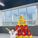 다오름태권도장 이미지