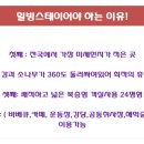 안전지대 이미지