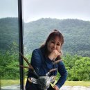 청솔수석박물관 이미지