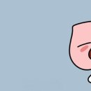 막무가내 이미지