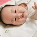 이도은 카카오 검색결과