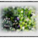 창의력을 키우는 놀이 수학 이미지