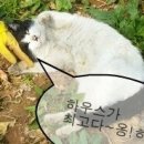 골말농장 이미지