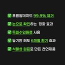 모어로그 | 새집증후군 제거, 업체 부를 돈 아꼈습니다! 솜솜로그가 노모어오더로 새집냄새제거 끝판왕 본 후기