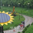 해바라기태양광 이미지