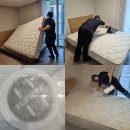 침대 매트리스케어 건식+습식 청소 솔직후기(가격, 소요시간, 관리꿀팁)