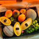 이천청과 이미지