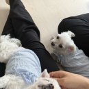 오픽스튜디오 | 경산 사진관 커플 사진 맛집 오픽스튜디오