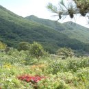 둔일농장 이미지