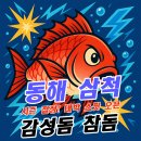대진항민박 | 강원 동해 삼척 감성돔, 참돔 원투 서프 낚시 잘잡히는 포인트 추천