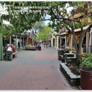 기선목장 이미지