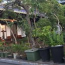 주문 민박 이미지