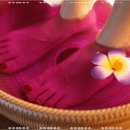 발편한 세상 이미지