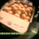 국립농수산물품질관리원(농림부) 네이버블로그
