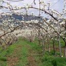 벌교펜션민박 이미지