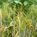 남호농장 이미지