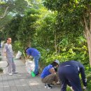 동삼1동-1 이미지