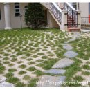 대전성모초등학교 이미지