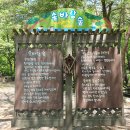 여름 평창여행 1. - 흥정계곡 / 허브나라 / 육백마지기 / 현대막국수