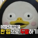 샌드브라운 이미지