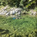 갯골산머루 민박 이미지