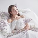 메이비즈 이미지