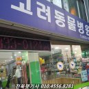 펫택시 이미지