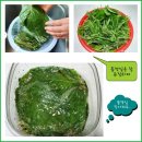 아내의 텃밭 이미지