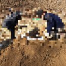 신용수목장 이미지