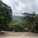송정숲상회
