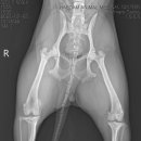 가온동물의료센터 이미지